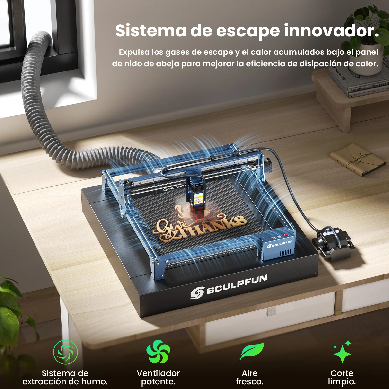 Miniatura 11
