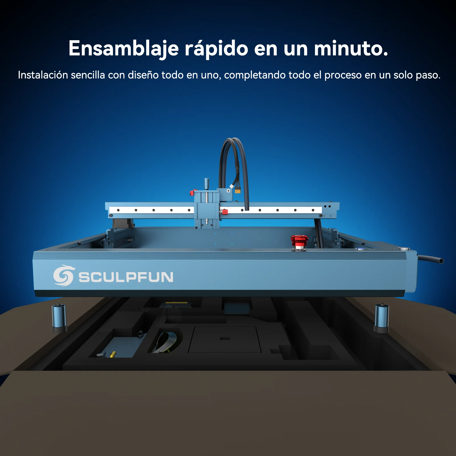 Miniatura 21